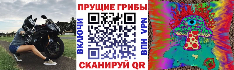 где найти наркотики  Бабушкин  Псилоцибиновые грибы ЛСД 